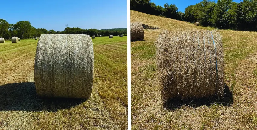pourquoi choisir du filet