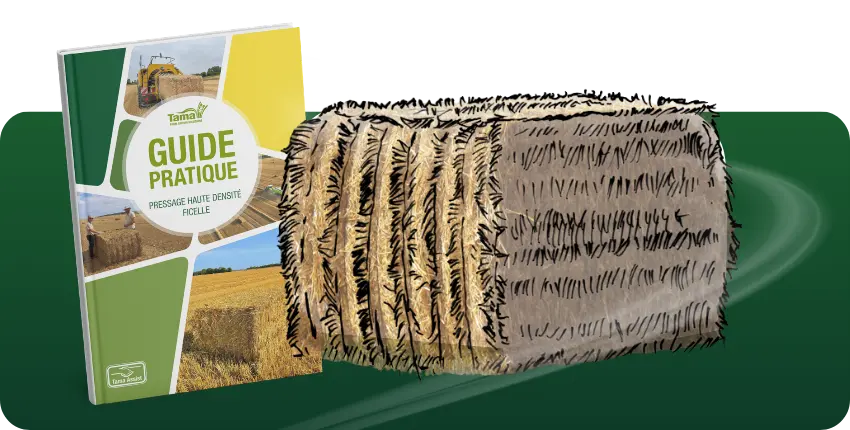 guide ficelle tama